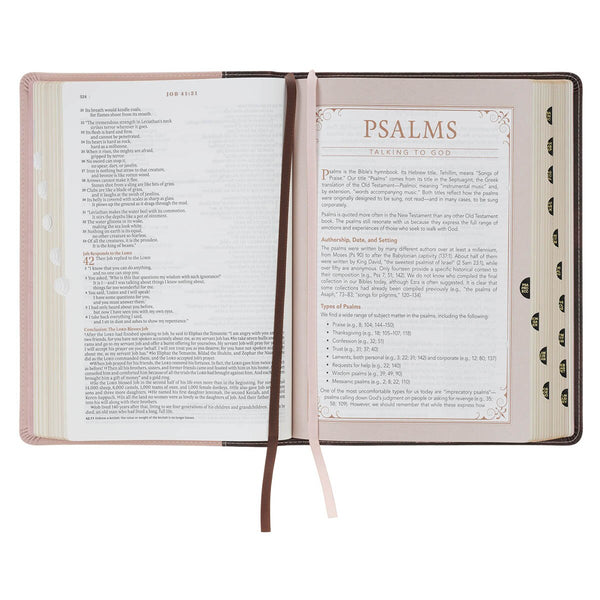 Brown and Blush Pink Faux Leather Spiritual Growth Bible