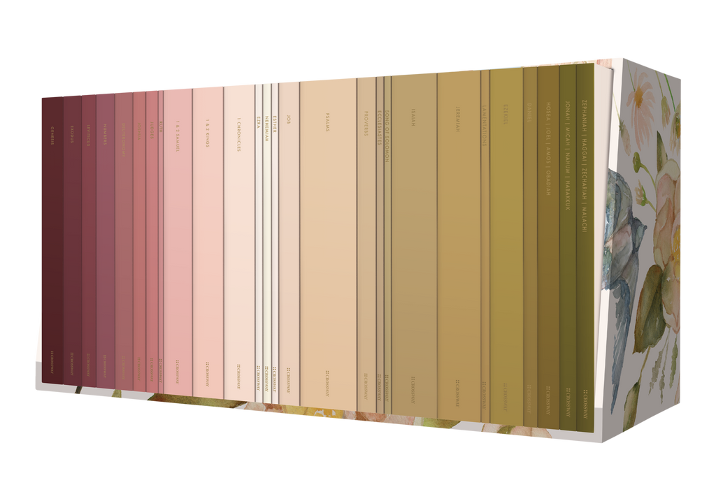 ESV Scripture Journal®: Old Testament Set (Artwork by Ruth Chou Simons)