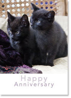 Happy Anniversary: Two Black Kittens (order in 6)