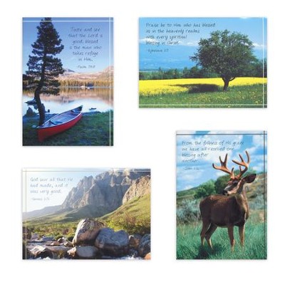 Birthday For Him Assortment - Outdoor Scenes (12 Boxed Cards)