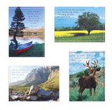 Birthday For Him Assortment - Outdoor Scenes (12 Boxed Cards)