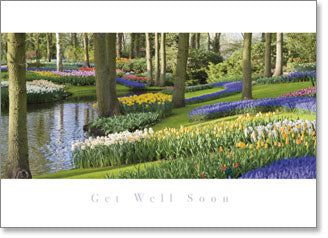 Get Well - Keukenhof (order in 6)