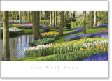 Get Well - Keukenhof (order in 6)