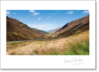 Blank - Valley, Field and Blue Sky