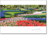 Blank - Keukenhof Gardens