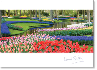 Blank - Keukenhof Gardens