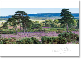 Inspire - Blank: Heather at Arne (order in 6)