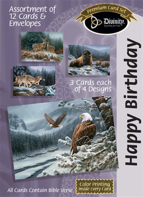 Birthday For Him - Animals in the Wild (12 Boxed Cards)