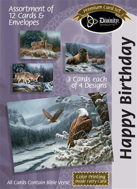 Birthday for Him - Nature (12 Boxed Cards)
