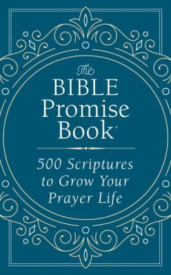 The Bible Promise Book® for Teens (Steve Russo)