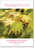 Praying For You - Maple Leaves