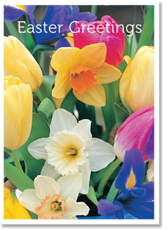 Easter Greetings - Spring Flowers (order in 6)
