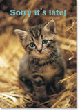 Belated Happy Birthday : Kitten in straw (order in 6)