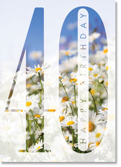 Happy 40th Birthday : Daisy Bank (order in 6)