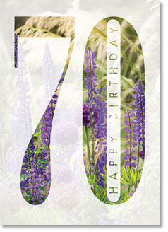 Happy Birthday : Summer border 70th (order in 6)