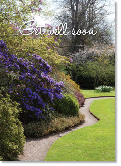 Get Well : Castle garden path (order in 6)