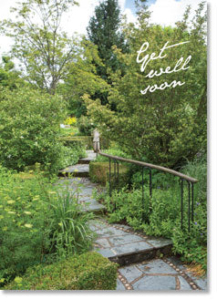Get Well : Rosemoor Pathway (order in 6)