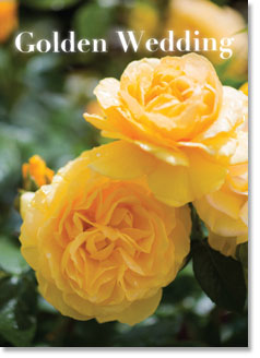 Golden Wedding Anniversary : Golden Roses (order in 6)