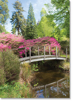 Blank - Bridge