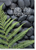Praying for You: Pebbles and bracken (order in 6)