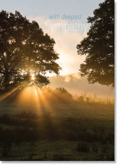 With Sympathy : Dawn Sunlight near Trees (order in 6)