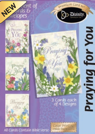 Thinking of You - Blue Birds (12 Boxed Cards)