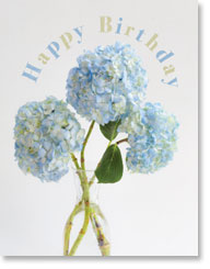 Happy Birthday -   Blue Hydrangea