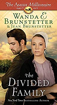 The Divided Family: The Amish Millionaire Series #5 (Wanda E. Brunstetter)