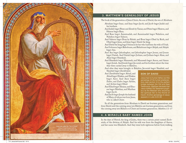 Jesus, a Life in Pictures : His Complete Story Interwoven from the Biblical Gospels