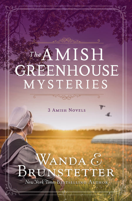 An Unexpected Grace (#03 in The Jewels of Kalispell Series)