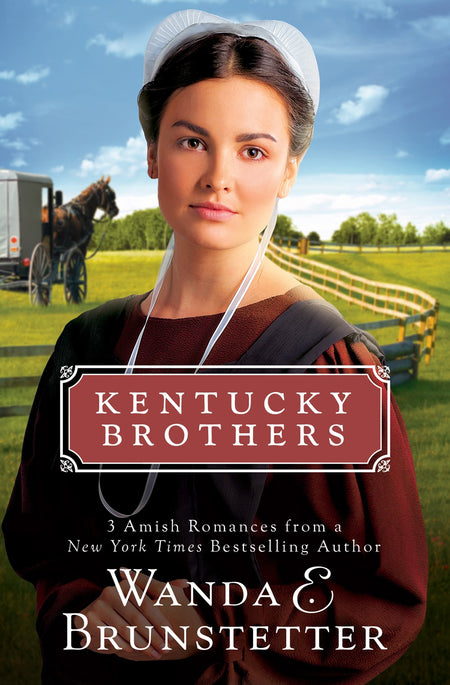 The Lady in Residence (Doors To The Past Series)