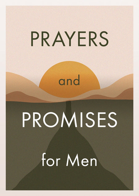 Promises from God for Every Man (brown)