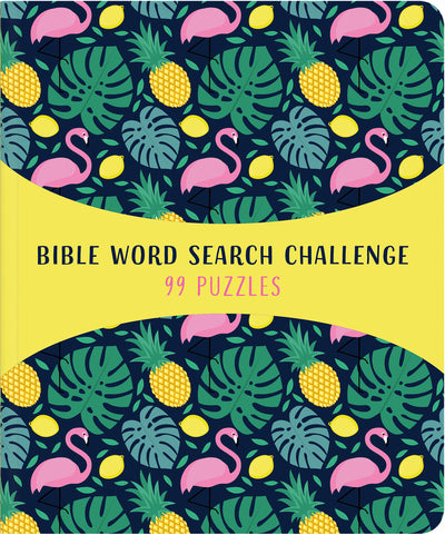 Bible Word Search Challenge - KI Gifts Christian Supplies