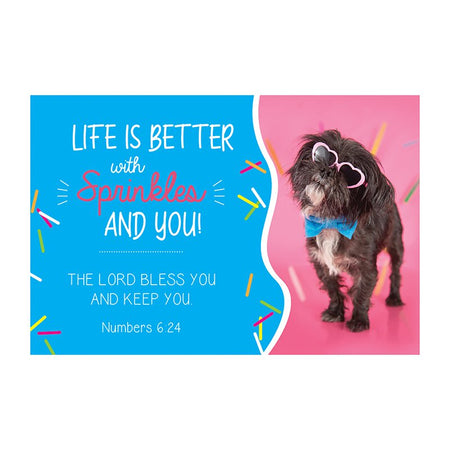 Verse Card Single Frame