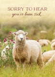 Boxed Card - Thoughtful Greeting