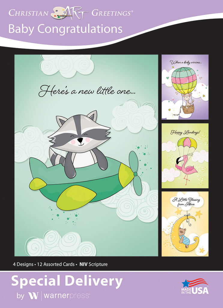Boxed Card - Special Delivery