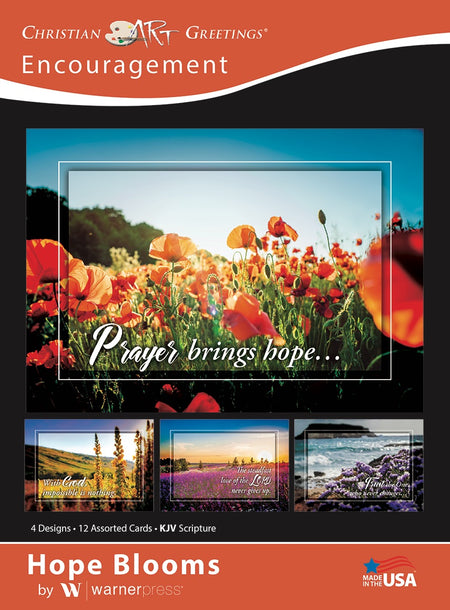 Boxed Cards - Patterns of Hope