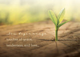 Boxed Card - Renewing Your Spirit
