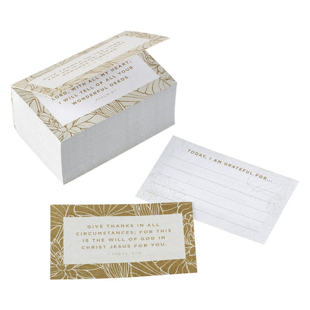 May God's Grace Be With You Purple Succulent Large Landscape Gift Bag with Card - Colossians 4:18