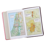 Brown and Pink Half-bound Faux Leather Giant Print King James Version Bible