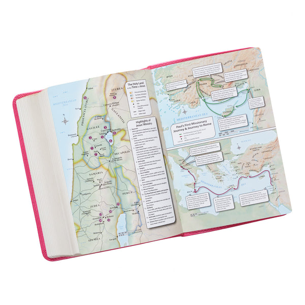 Pink Faux Leather Large Print Compact King James Version Bible
