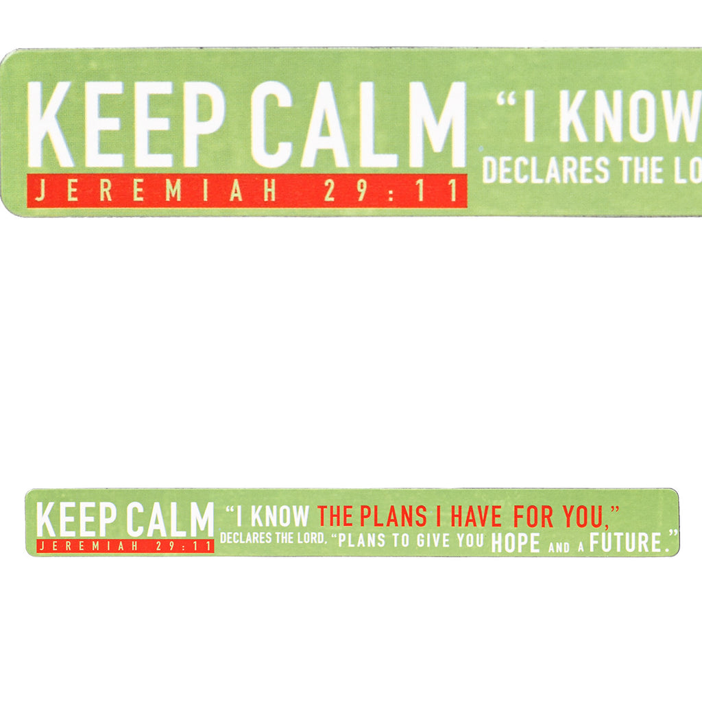 Magnetic Strip - I Know the Plans