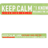 Magnetic Strip - I Know the Plans