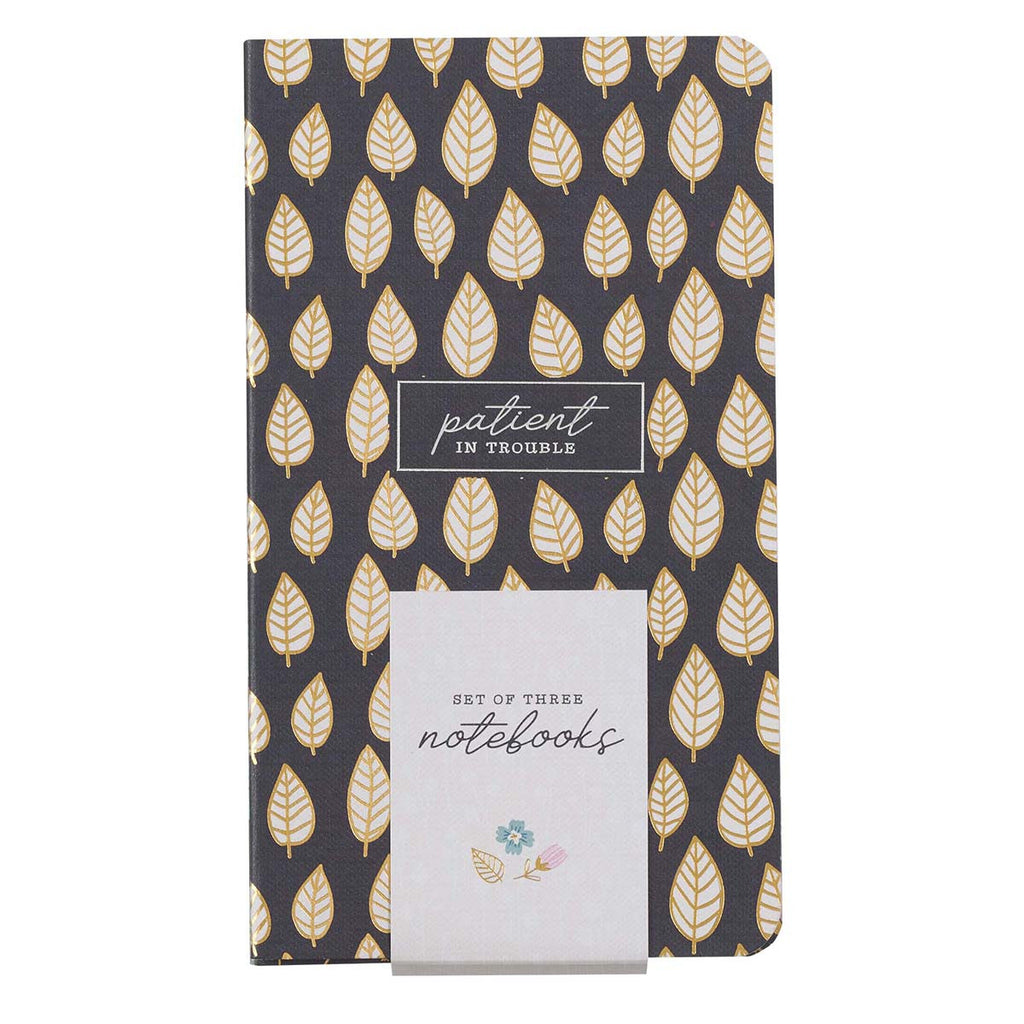 Joyful, Persistent, Patient Small Notebook Set
