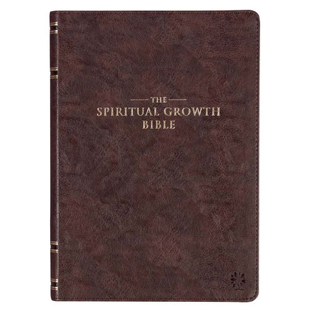 May God's Grace Be With You Purple Succulent Large Landscape Gift Bag with Card - Colossians 4:18
