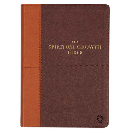 May God's Grace Be With You Purple Succulent Large Landscape Gift Bag with Card - Colossians 4:18