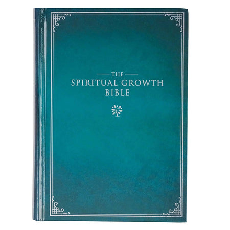 May God's Grace Be With You Purple Succulent Large Landscape Gift Bag with Card - Colossians 4:18