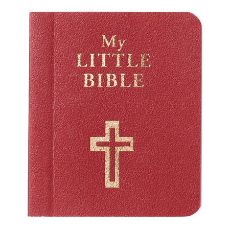 Read with Me Bible, NIrV : NIrV Bible Storybook (Revised)