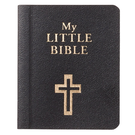 The 90-Day Bible Reading Devotional for Women