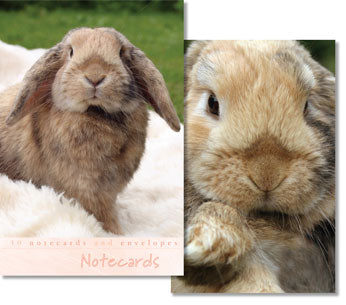Notecards - Lop Eared Rabbit